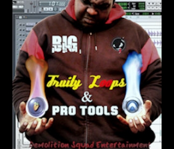 http://www.demosquadent.com/index.php/free-download/big-industrial-ammunition/big-frooty-loops-a-pro-tools